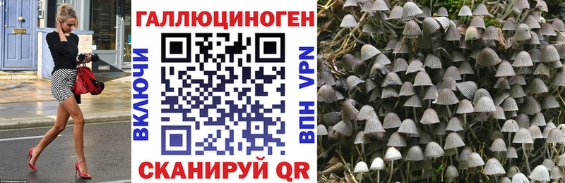Галлюциногенные грибы мицелий Владивосток